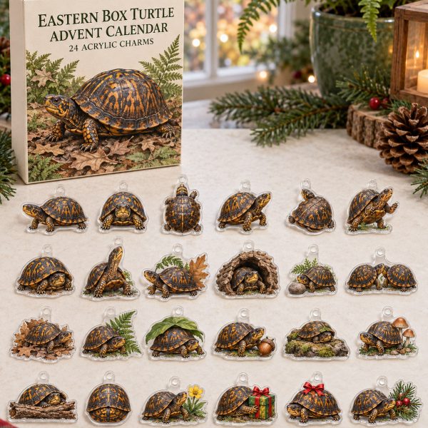 Cute Eastern Box Turtle 24 Days Christmas Holiday Countdown Acrylic Charm Advent Calendar